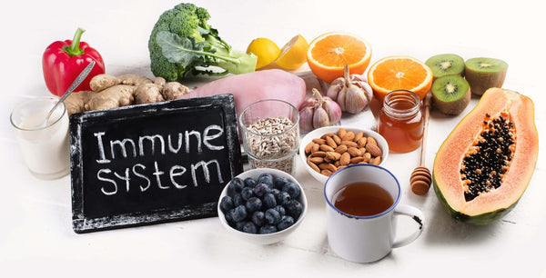 Il sistema immunitario: come farlo rendere al massimo