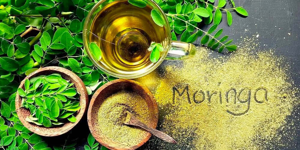 Olio di moringa: una bomba di bellezza e benessere - Erboristeria