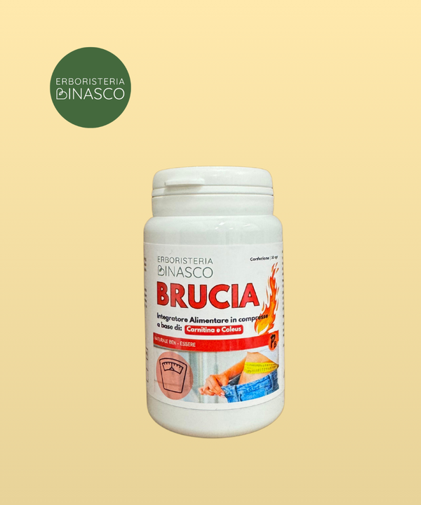 Brucia