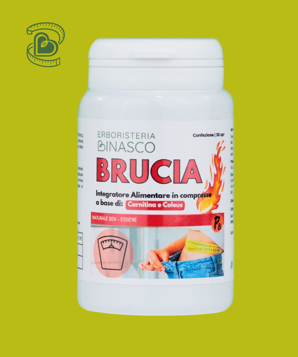 Brucia