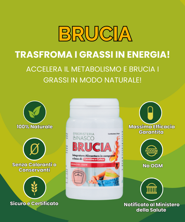 Brucia